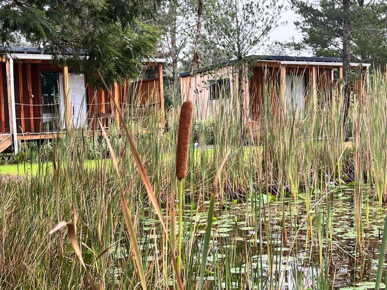 Forest Gate Resort Plettenberg Bay Extérieur photo