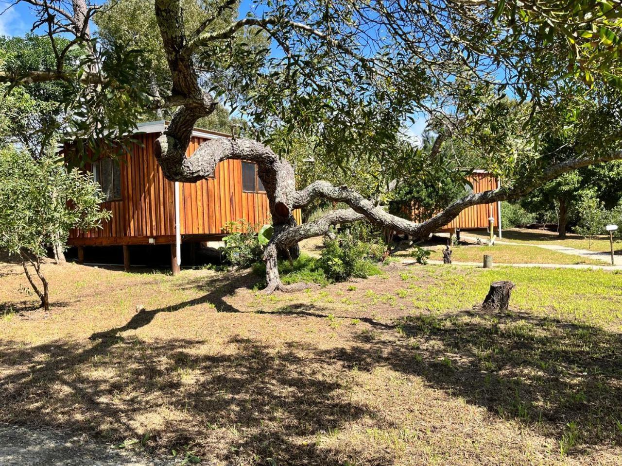 Forest Gate Resort Plettenberg Bay Extérieur photo
