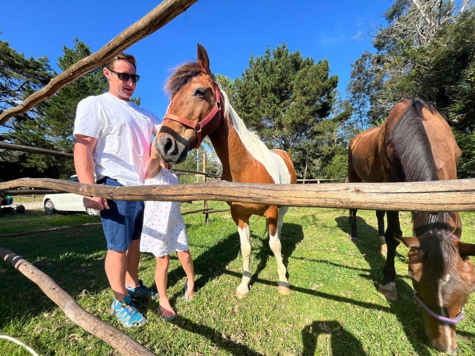 Forest Gate Resort Plettenberg Bay Extérieur photo